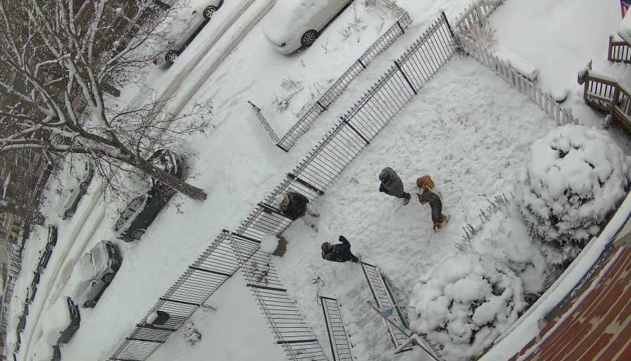 Reolink Camera Two_01_Reolink Home Hub One_20260125145925.jpg